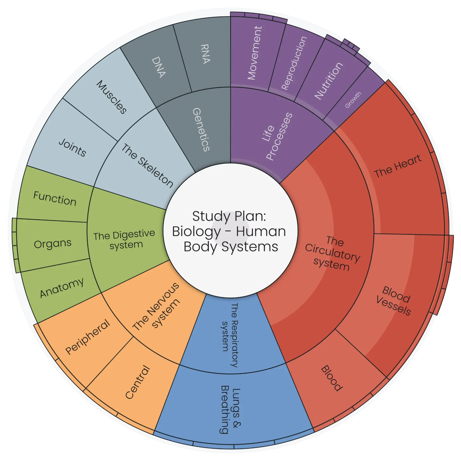 Study Schedule Template: Biology – Human Body Systems